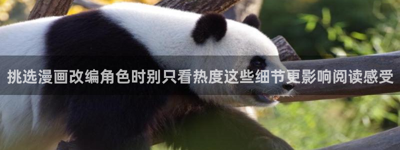 羞羞漫画在线入口：挑选漫画改编角色时别只看热度这些细节更影响阅读感受