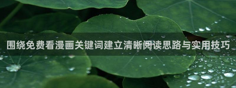 七七漫画漫画网站大全：围绕免费看漫画关键词建立清晰阅读思路与实用技巧